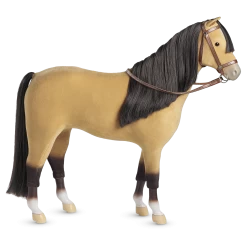 Western Horse